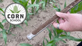 Corn School: How much side-dress nitrogen does the crop need?