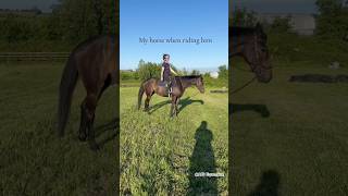 Funny but cute😅 #amazing #horse #equestrian #horseriding #funny #viralshorts #cute #fyp #foryou