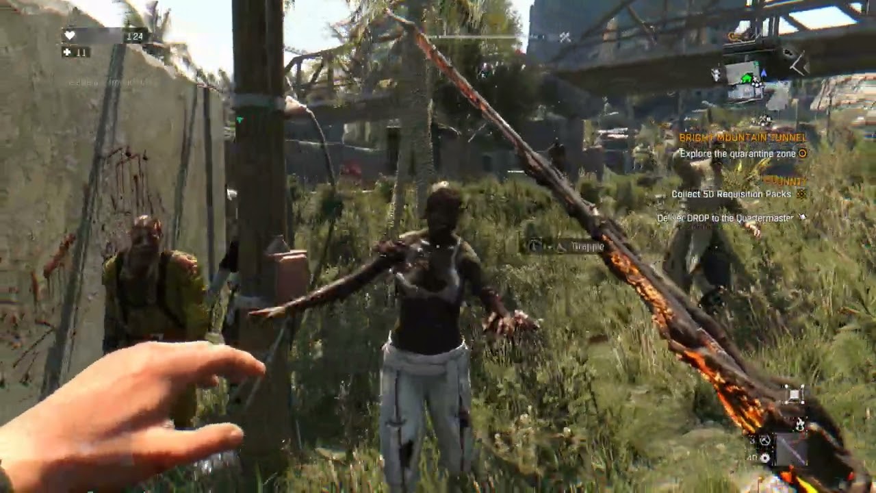 WIE ER ALS KOPFLOSES HUHN DA NOCH RUMFUCHTELT