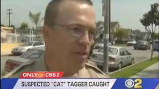 graffinc.com - Cat Tagger is Busted by Police - Free Midzt!