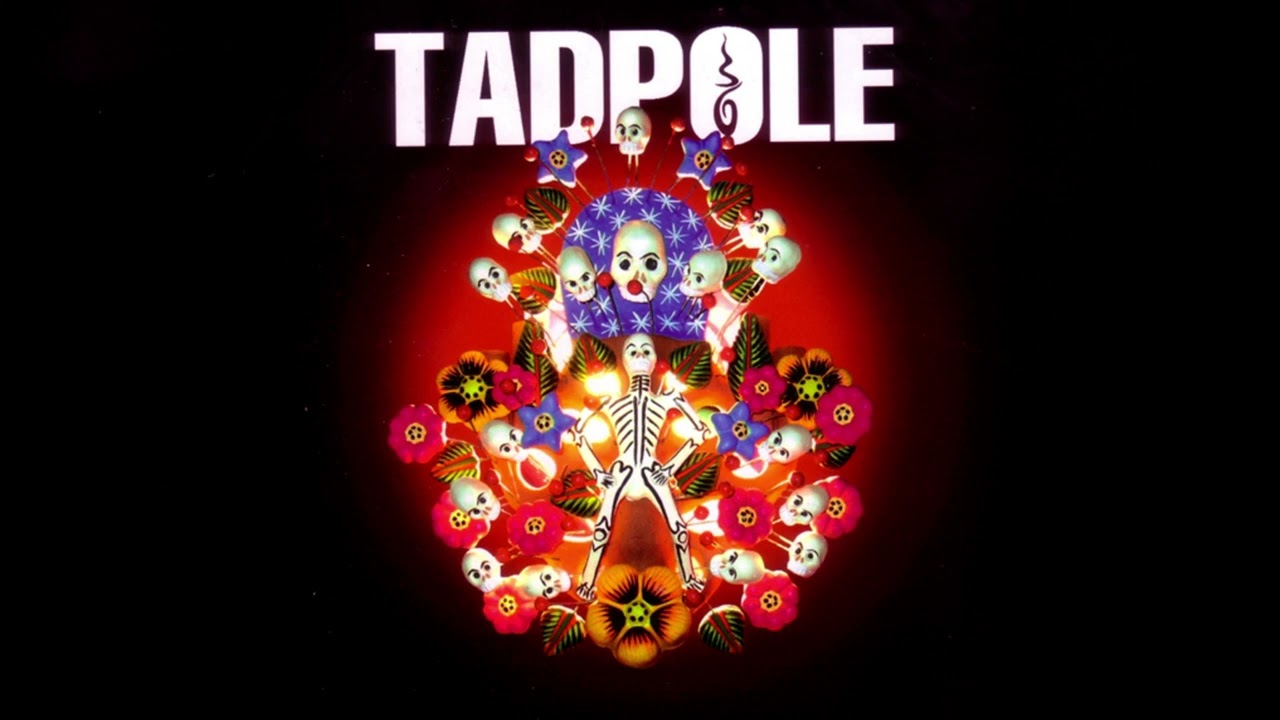 Watch Tadpole - This Broken Heart (Audio) on YouTube Watch Tadpole - This Broken Heart (Audio) on YouTube