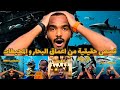 قصص و مغامرات حقيقية من اعماق البحار و المحيطات Modrar