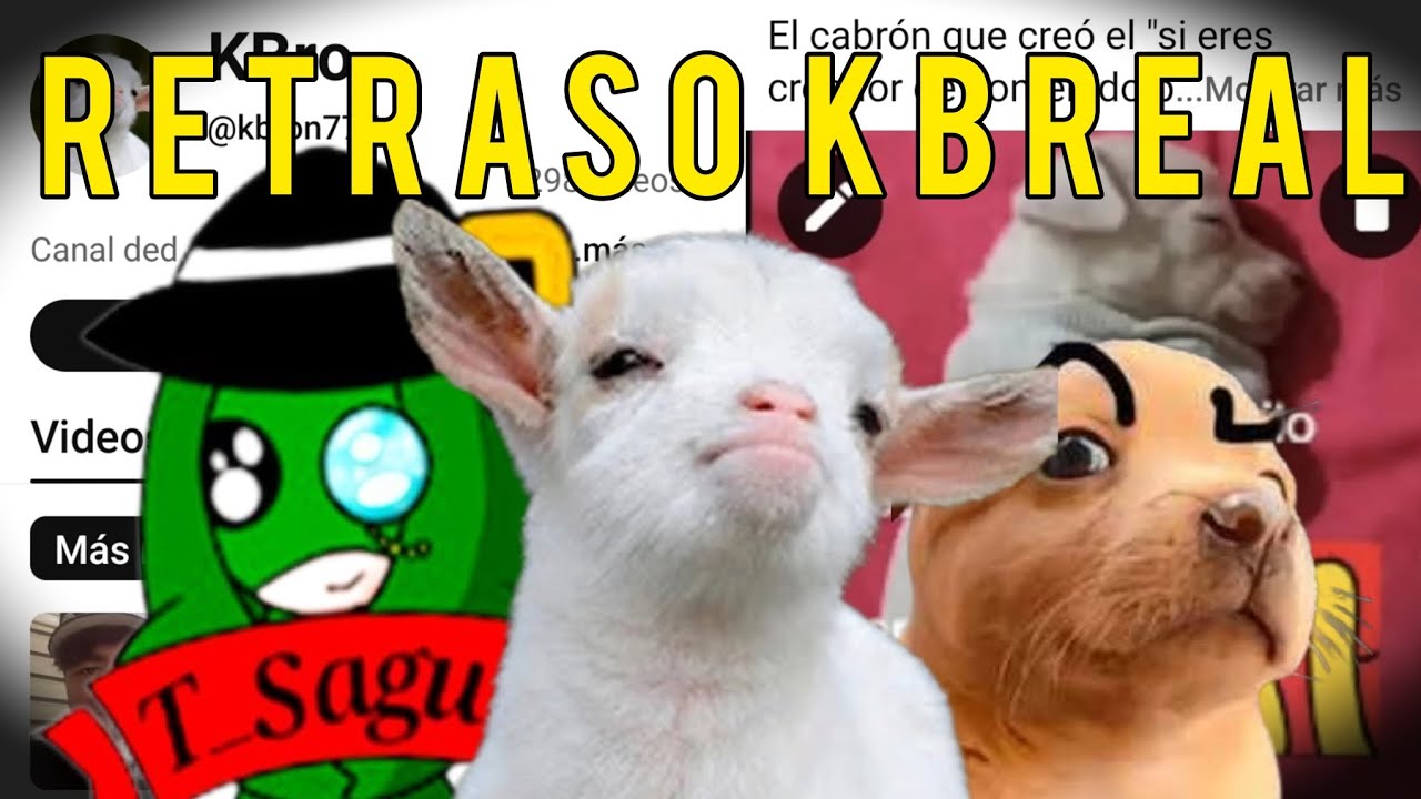 EL "LOLCOW" MÁS ALUCIN Y FARSANTE DE YOUTUBE (Crítica a Kbro)