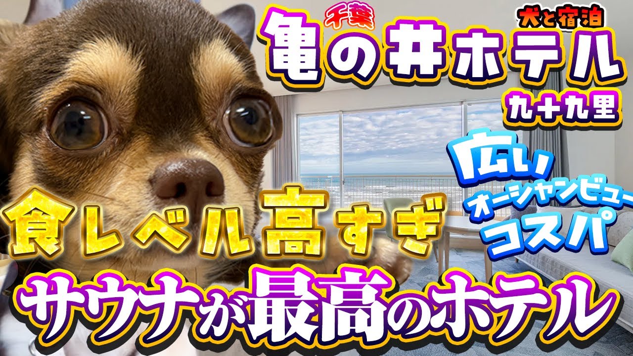【亀の井ホテル九十九里】サウナ体験が圧倒的にやりやすくて自由度の高い犬と泊まれる宿！とにかく最高！見て欲しい！料理が美味しいホテル
