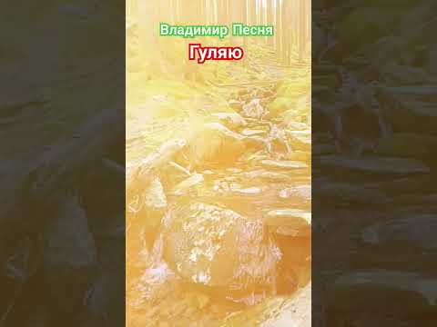 Владимир Песня/ Не верю Слезам #shortshorts #shorts #shortvideo