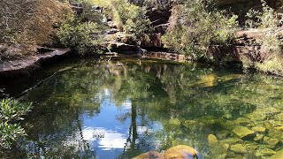 The Emerald Pool - My Favourite Central Coast Bushwalks
