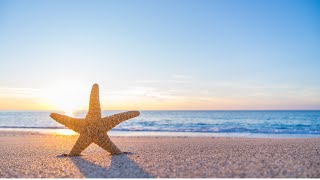 The Starfish Story: Small Acts, Big Impact #motivationalvideo #selfimprovement
