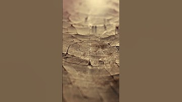 Сура Аз-Залзала ("Earthquake") سورة الزلزلة ("الزلزال") #surahzilzal #trending #music #nature #asmr