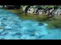 陸前高田・しあわせ音頭(大沢桃子)