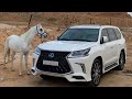 بنك حرب مرتفع دايم طموحي ابتديت ولا انتهيته خالد ال بريك تعديل مميز بطي بنك حرب مرتفع دايم طموحي ابتديت ولا انتهيته خالد ال بريك تعديل مميز بطي