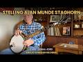 1995 Stelling Alan Munde Staghorn Banjo for Sale | Banjo Warehouse Demo