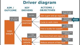 Using The Quality Improvement Model Webinar