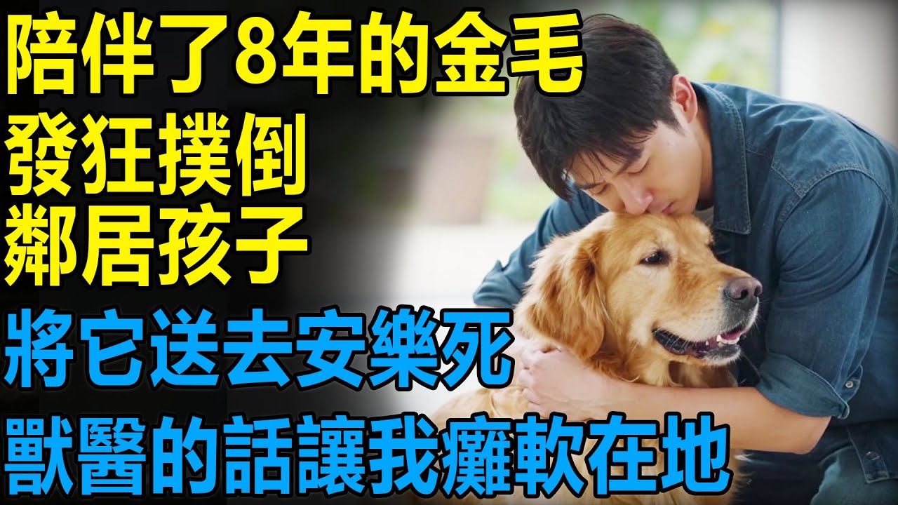 陪伴了8年的金毛突然發狂撲倒鄰居孩子，將它送去安樂死，獸醫的話讓我癱軟在地......