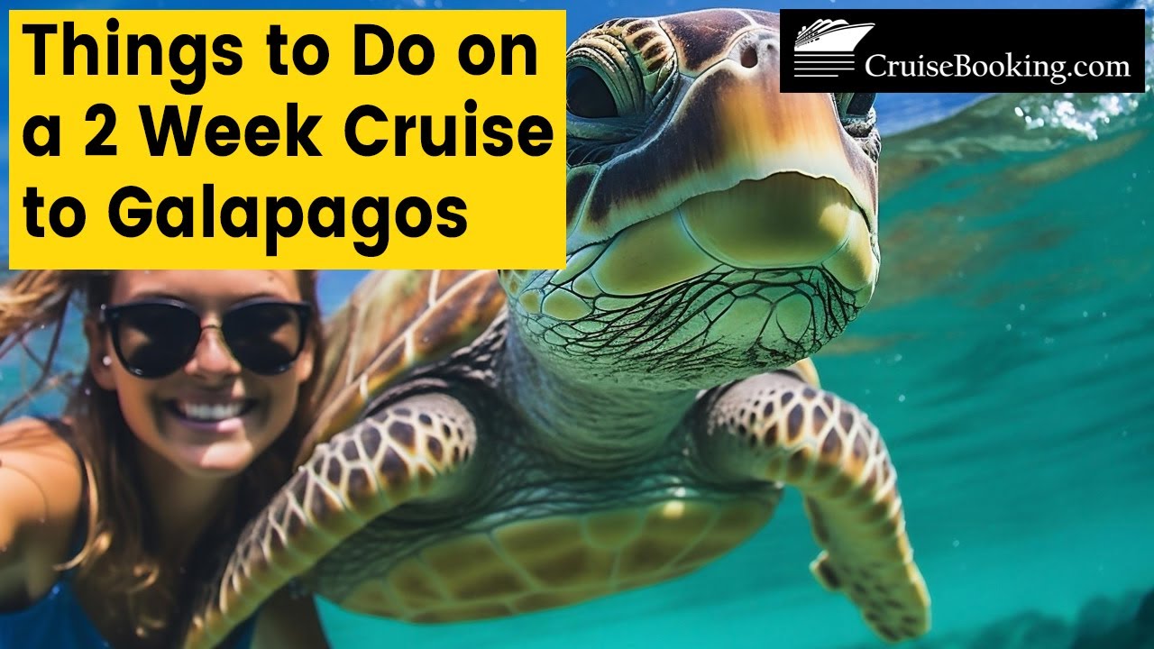 Things to Do on a 2 Weeks Cruise to Galapagos | CruiseBooking.com
