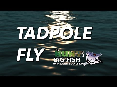How to make a Tadpole Fly