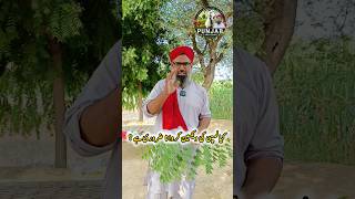 Lumpy Vaccine Na Karwane Ka Nuksan! Har Dairy Farmer Zaroor Dekhe