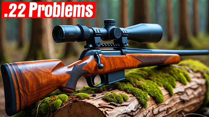 10 Things You Should Know About 22 LR Rifles: A User's Guide