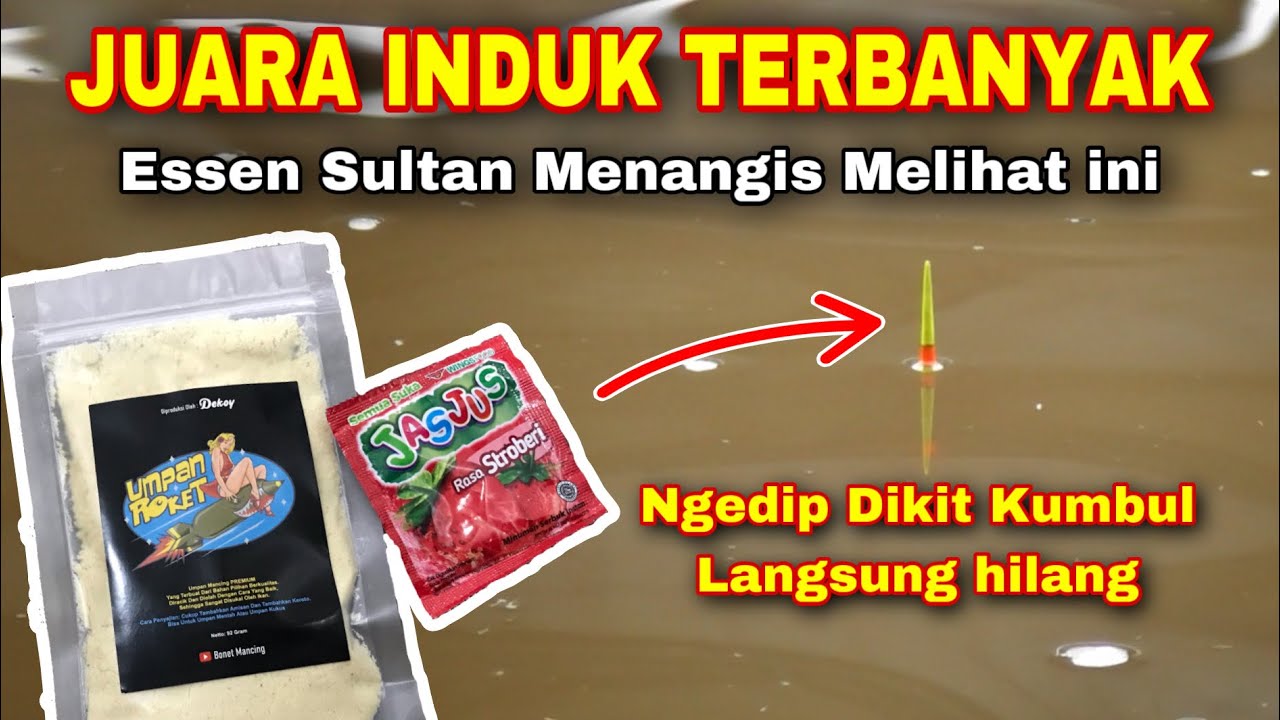 Umpan Galapung Tanpa Essen Yang Bikin Lapak Sebelah Meringis | Umpan