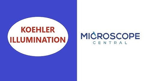 Koehler Illumination - Is it Necessary?