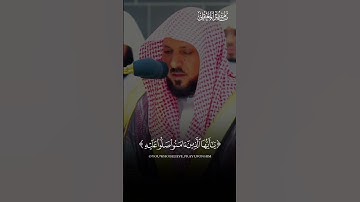 تلاوة خاشعة ومؤثرة بصوت ماهر_المعيقلي  ارح سمعك #قرآن #راحة_نفسية #القرآن #almuaiqly100 #fyp