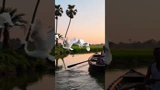 AI দিয়ে Professional Video তৈরি করুন | Best AI Video Creation Tutorial Bangla #newaitool