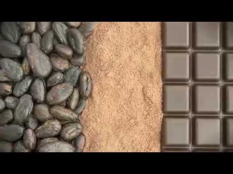 וִידֵאוֹ: מאיפה מגיע השוקולד במקור?