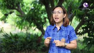 คนไทยหัวใจเกษตร 14 พฤศจิกายน 2562 B3