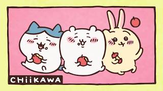 Chiikawa Full Episode 🍡 Mochi / Had a Dream 💤 Season 1 Episode 10
