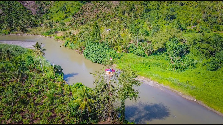10 Hari berburu buat rumah pohon mewah ketinggian 30 meter dipinggir sungai!!!! #KOOKIKO