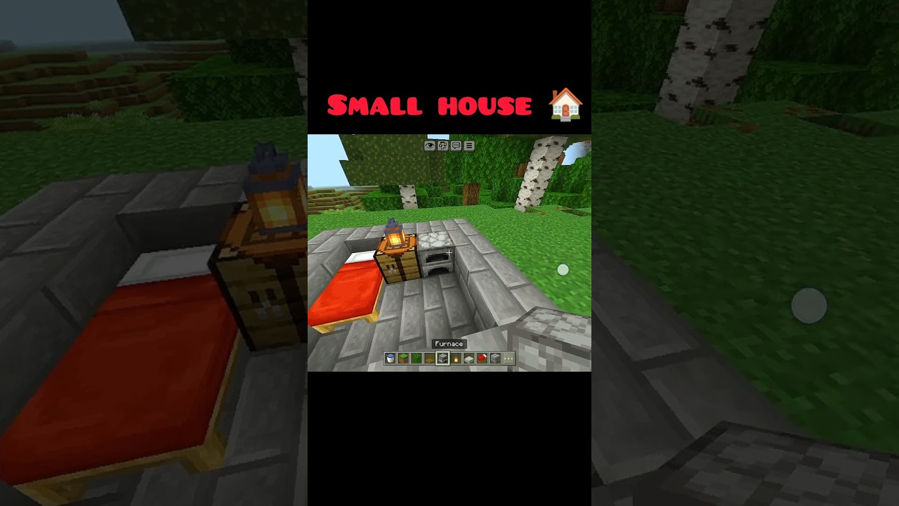 🤯 MINI HOUSE BUILD! 