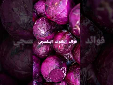 فوائد الملفوف البنفسجي صحتك هدفنا صحة فوائد وصفات جمال ملفوف بنفسجي اكسبلور يوتيوب شورت