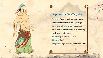 How to Apply Meridian Frequencies to Scalar Field