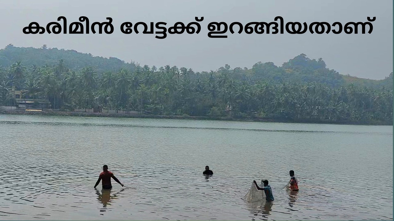 കരിമീൻ വേട്ടക്ക് ഇറങ്ങിയതാണ് | fishing | sea fishing | fisherman | fishing malayalam | fish