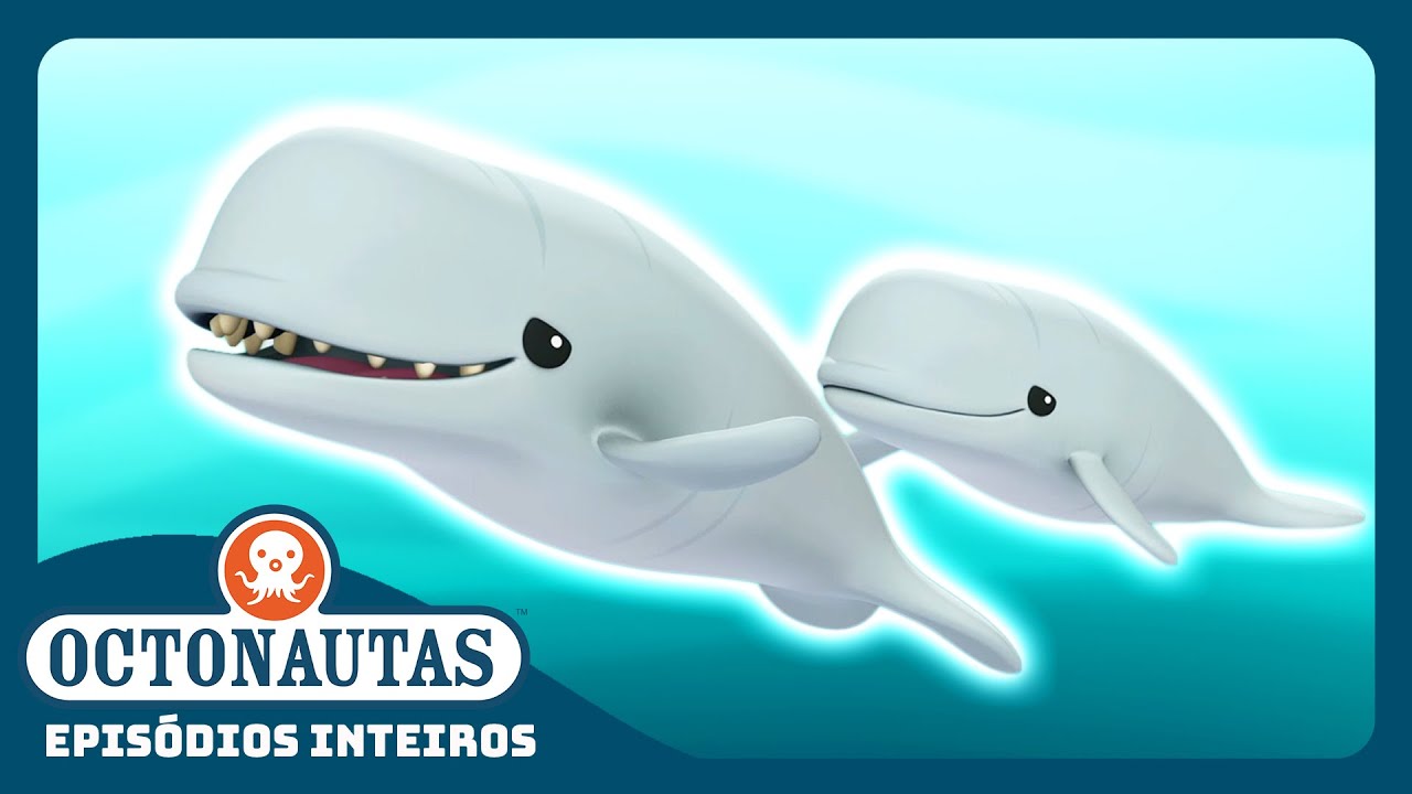 Octonautas - 🐋 As Baleias Beluga 🌊 | Episódio inteiro 34 | Primeira Temporada