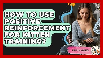 How To Use Positive Reinforcement For Kitten Training? - Happy Cat Handbook