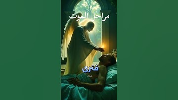 #أذكار #صلي_على_رسول_الله #قصص #دعاء #أذكار #صباحيات #المصحف #قرآن #explore #اكسبلور #مسائيات