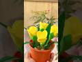 Flower pot #diy #handmadecraft #shorts