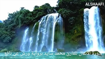 محمد سايد - سورة الأنفال |008| MOHAMED SAYED - SURAT AL ANFAL