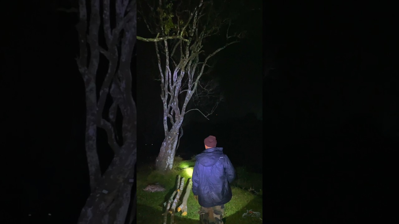Night Trekking in Thekkady, Kerala