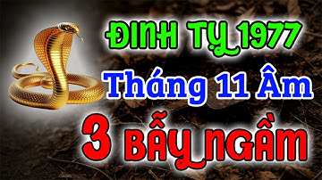 KHẨN CẤP! Đinh Tỵ 1977 Phải Biết: Tháng 11 Âm 2025 Đang Ẩn Giấu 3 BẪY NGẦM Nguy Hiểm