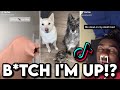 B*tch I&#39;m Up!? | TikTok Compilation