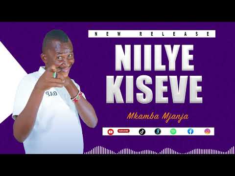 Niilye Kiseve Mkamba Mjanja Official Audio