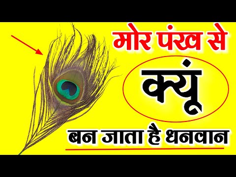 वीडियो: सभी लोग घर से काम क्यों नहीं कर सकते?