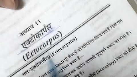 Ectocarpus  and thallus structure