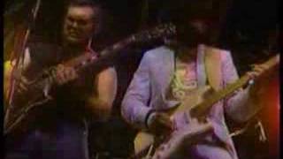 The New Orleans Radiators - Kickin' Mule
