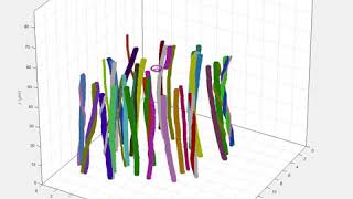 3D Reconstruction Of Helical Collagen Fibrils In Rat Tail Tendon