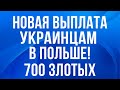 Новая выплата украинцам в Польше в размере 700 злотых!