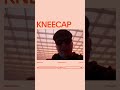 KNEECAP - Fine Art (Live Performance)