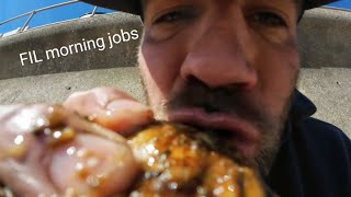 FIL morning jobs