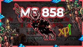 MS 858 Hunt Solo Iksupan Last Stand 5.4kk/h Raw + 1.7kk Profit - Tibia Hunt [15.24]